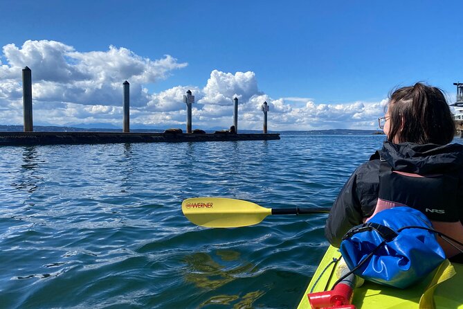 2 Hour Sound Tour - Beginner-Friendly Paddling That Still Feels Adventurous