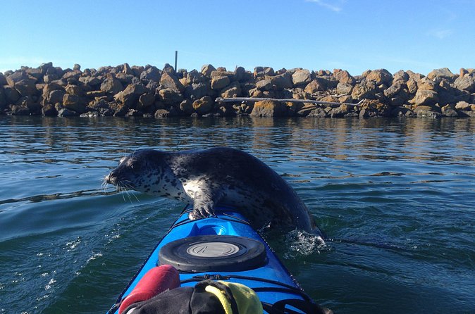 2 Hour Sound Tour - Practical Timing: Getting the Most From Your Water Time