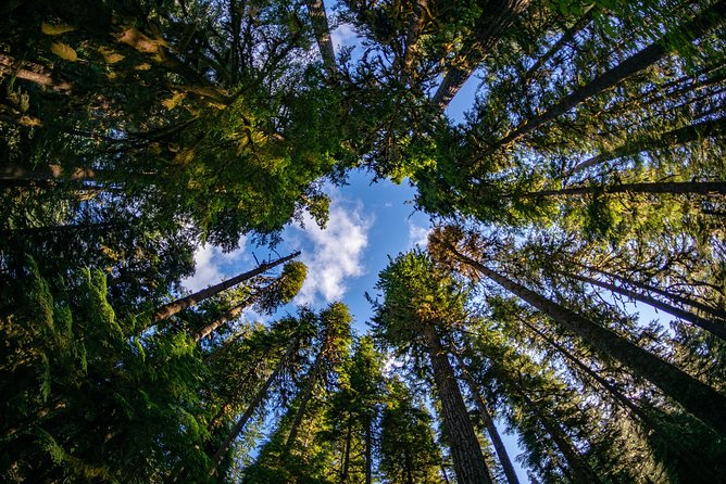 3 Days in Olympic National Park from Seattle: Silent Forest - Hoh Rainforest - A few practical tips before you go