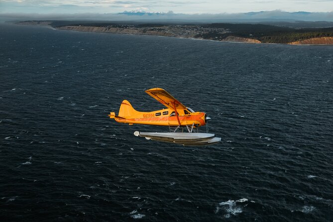 3 Hours San Juan Island Seaplane Tour from Seattle - Key things I’d pay attention to