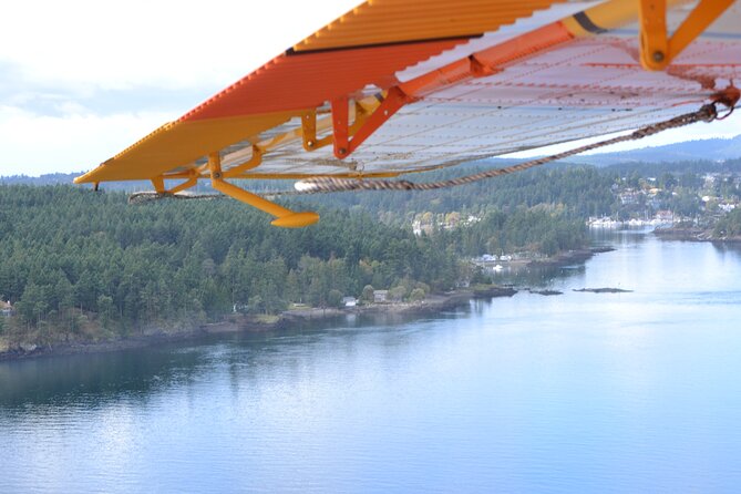 3 Hours San Juan Island Seaplane Tour from Seattle - The pilot and the commentary: how much guidance you can expect