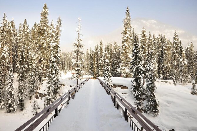 7-Day Small Group Tour: Canadian Rockies and National Parks - Why This Canadian Rockies Route Feels More Personal Than a Big Bus
