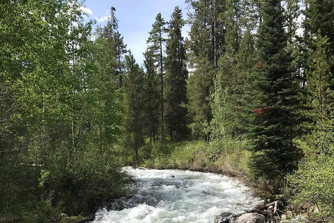7-Day Small Group Tour: Canadian Rockies and National Parks - Icefields Parkway Day: Where the Drive Becomes the Headliner