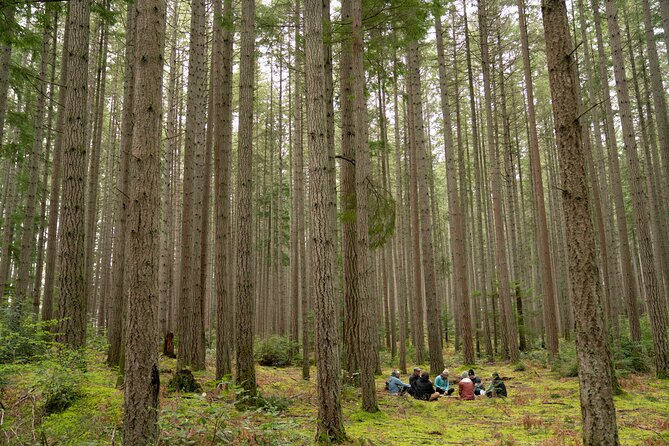 Bainbridge Island Serenity Forest Hike & Cultural Landmarks Tour - Key highlights you’ll feel quickly