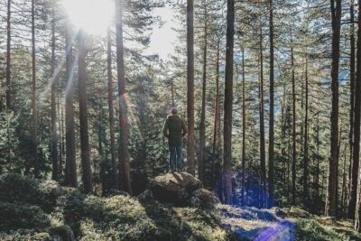 Bainbridge Island Serenity Forest Hike & Cultural Landmarks Tour - Stop 2: Halls Hill Lookout and Labyrinth for views plus a pause button