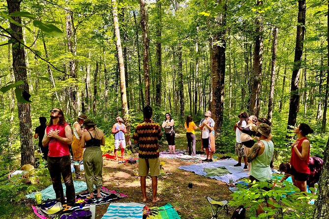 Bainbridge Island Serenity Forest Hike & Cultural Landmarks Tour - Price and value: what $235 per person is buying you