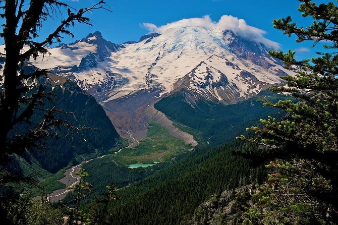 Best of Mount Rainier National Park from Seattle: All-Inclusive Small-Group Tour - The Seattle-to-Rainier drive that actually matters