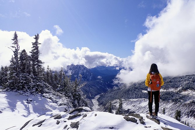 Best of Mount Rainier National Park from Seattle: All-Inclusive Small-Group Tour - Paradise Valley is summer hiking or winter snowshoeing