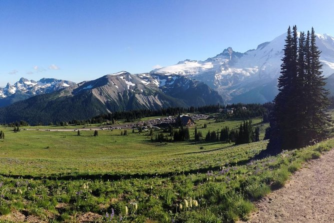 Best of Mount Rainier National Park from Seattle: All-Inclusive Small-Group Tour - Longmire Museum and the old-growth loops you can feel in your legs