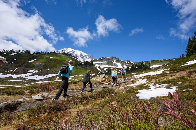 Best of Mount Rainier National Park from Seattle: All-Inclusive Small-Group Tour - Food and snacks: why this tour feels like a full day, not a bus route