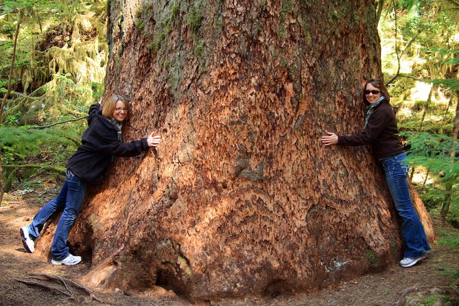 Best of Olympic National Park from Seattle: All-Inclusive Small-Group Day Tour - The real value behind the $368 price tag