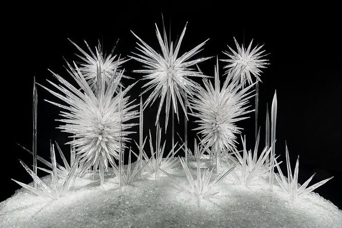Chihuly Garden and Glass in Seattle Ticket - Should You Book This Chihuly Garden and Glass Ticket?