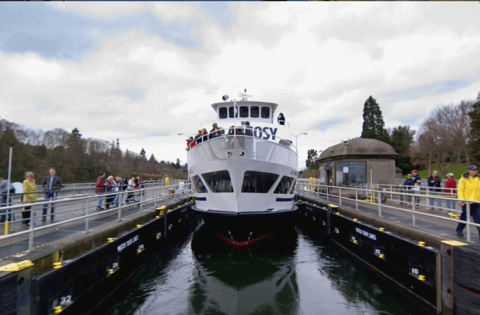 City Sightseeing Seattle: HOHO Bus Tour + Locks Cruise - Pike Place Market and the waterfront-market combo