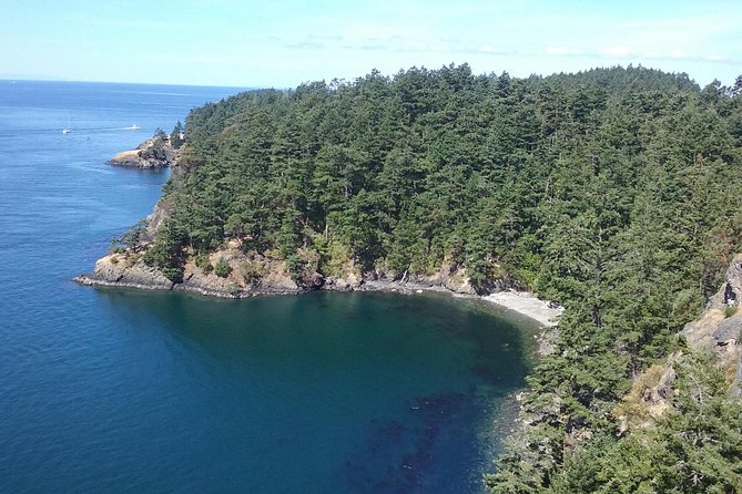 Deception Pass Bridge Island Tour from Seattle - Fort Casey Historical State Park: 1902 Fort Energy and Disappearing Canons