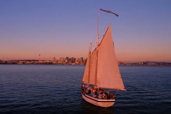 Evening Colors Sunset Sail Tour in Seattle - Seattle skyline and Space Needle: the waterline photo payoff