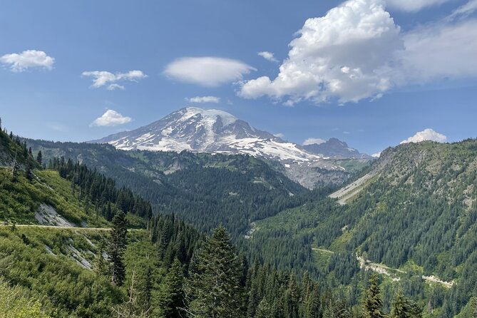 Explore Mt. Rainier National Park with a Local Guide - Henry M. Jackson Visitor Center at Paradise: views, wildflower meadows, and real time to hike