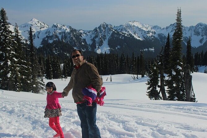 Explore Mt. Rainier National Park with a Local Guide - Price and what $385 buys you (and what it doesn’t)