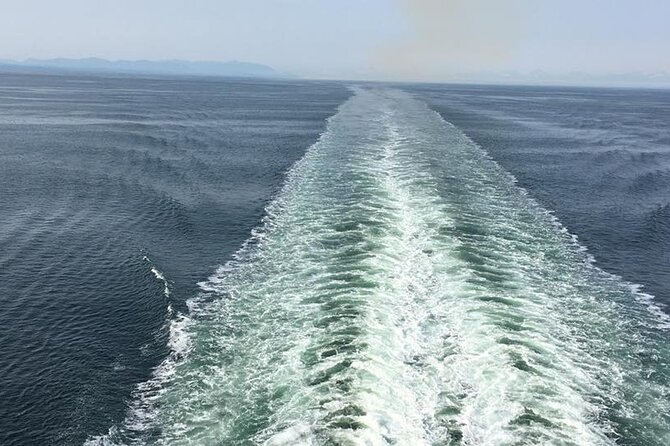 Explore Olympic National Park from Seattle through Van /Ferry - Lake Crescent: a quick education stop with a view