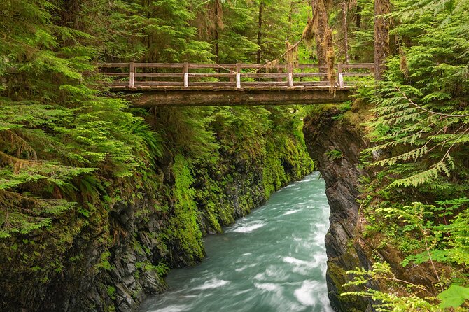 Explore Olympic National Park from Seattle through Van /Ferry - Returning to Seattle: ferry vibes and the end-of-day timing