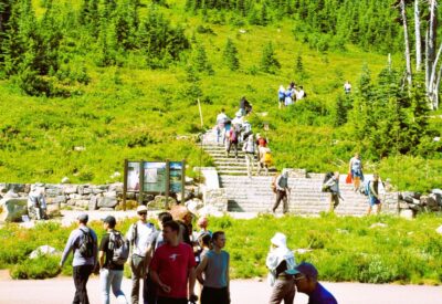 From Seattle: Customized Mount Rainier Tour - The van ride: comfort, timing, and built-in photo chances