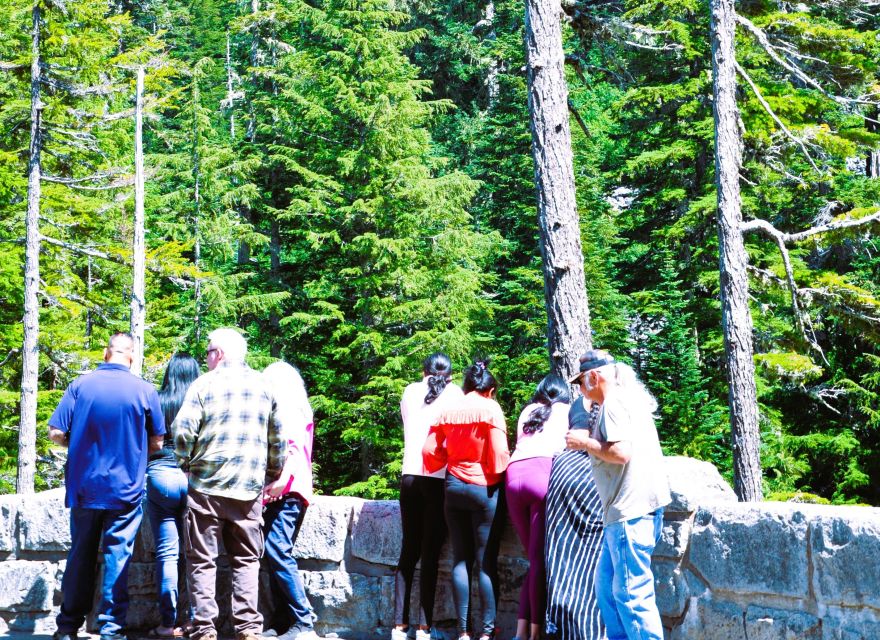 From Seattle: Customized Mount Rainier Tour - Narada Falls: quick access, easy time-on-foot