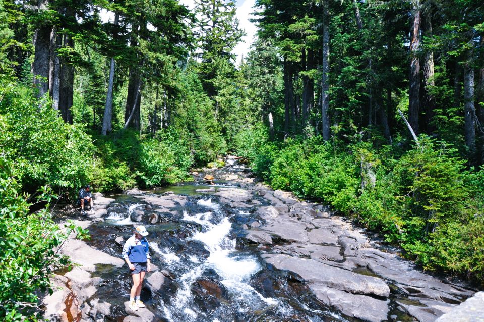 From Seattle: Customized Mount Rainier Tour - Paradise time: the heart of the day