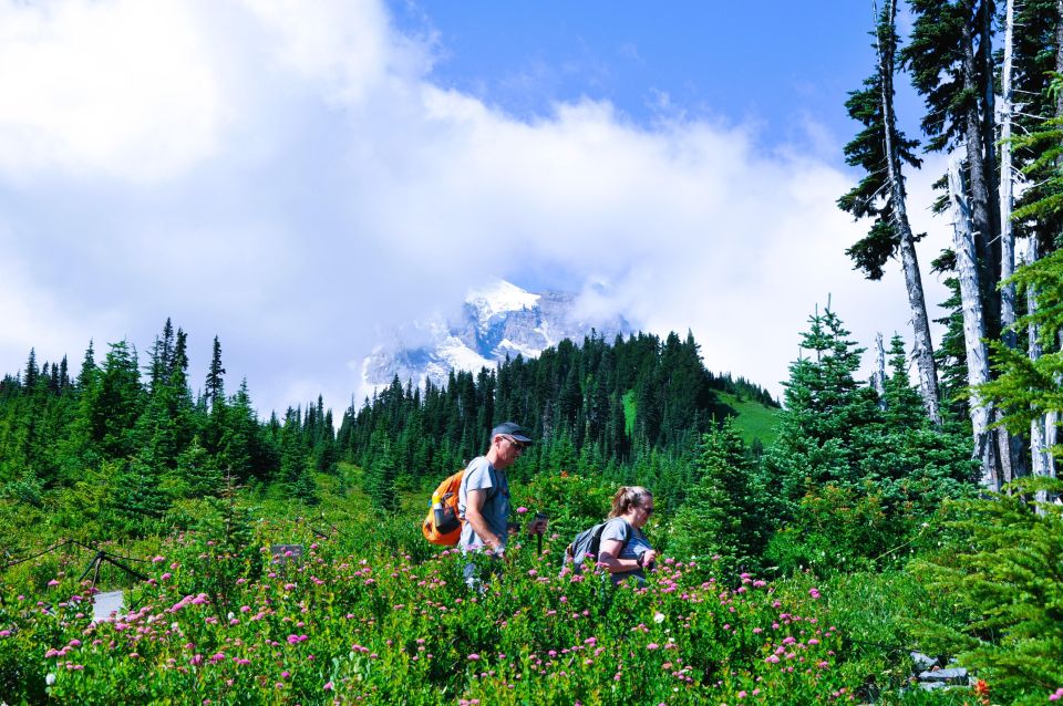 From Seattle: Customized Mount Rainier Tour - Myrtle Falls and Reflection Lake: the in-between stops that matter