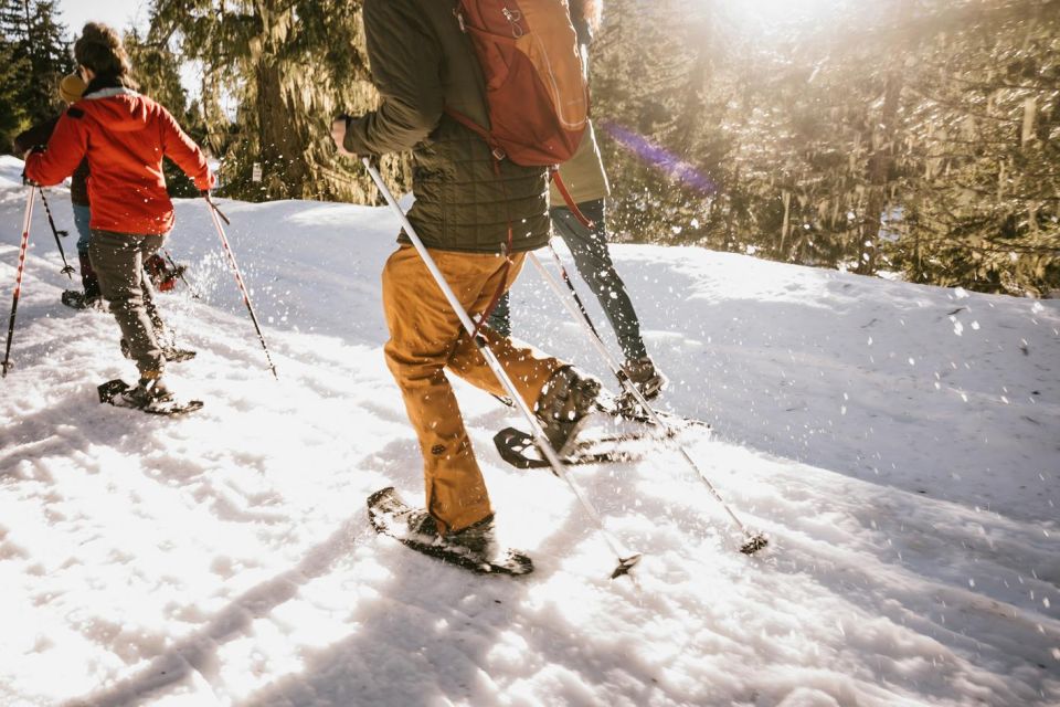 From Seattle: Day Trip Through The Cascades to Leavenworth - Transportation and group size: comfort that matters more than you think