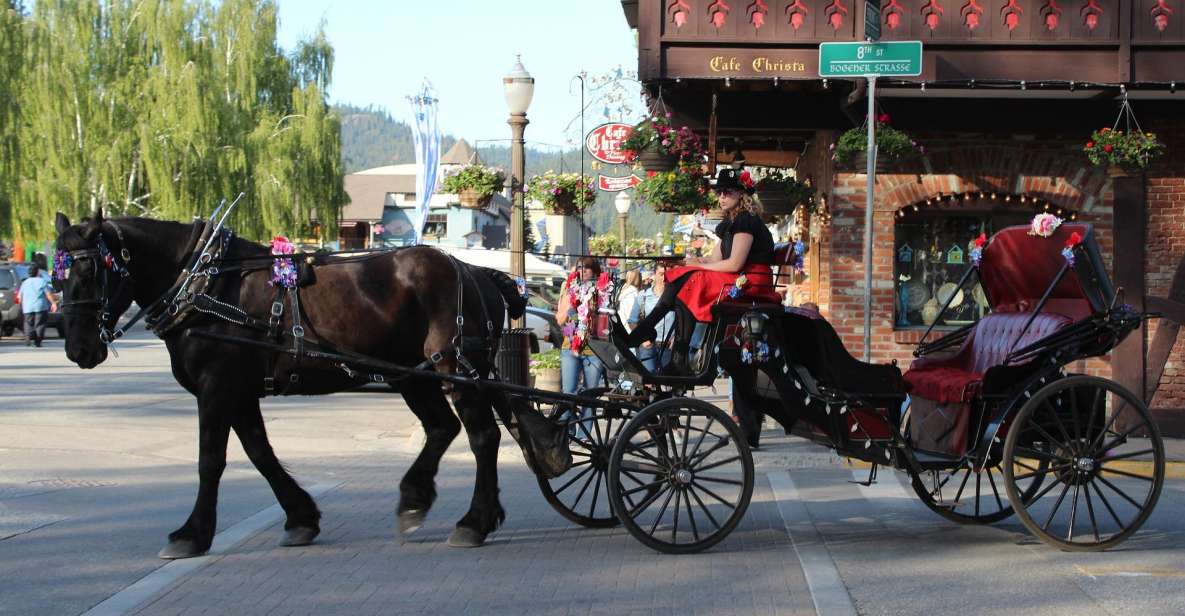 From Seattle: Day Trip Through The Cascades to Leavenworth - The forest walk or snowshoe: easy distance, real winter views
