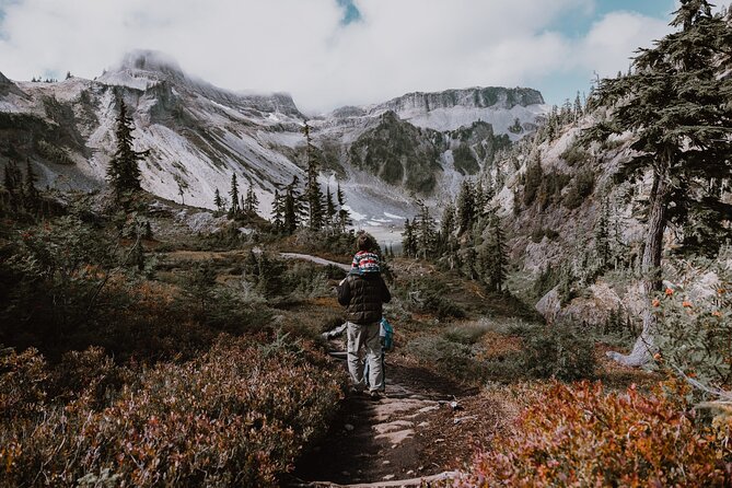 From Seattle - Enchanting Mt Baker and Cascades Tour in SUV - Your Seattle-to-Mount Baker driving day, explained
