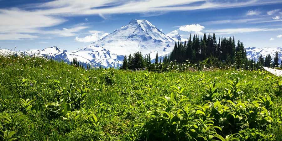 From Seattle - Enchanting Mt Baker & Cascade mountains tours - Key highlights worth building your day around