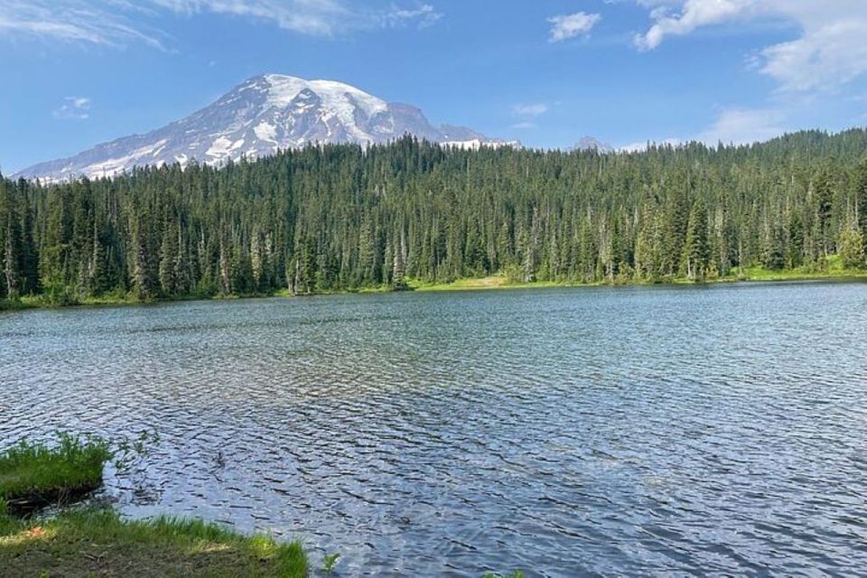 From Seattle: Full-Day Mt Rainier National Park Tour - Key Highlights at a Glance