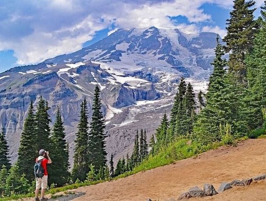From Seattle: Full-Day Mt Rainier National Park Tour - A 9-hour Rainier Day That Balances Big Views and Footsteps