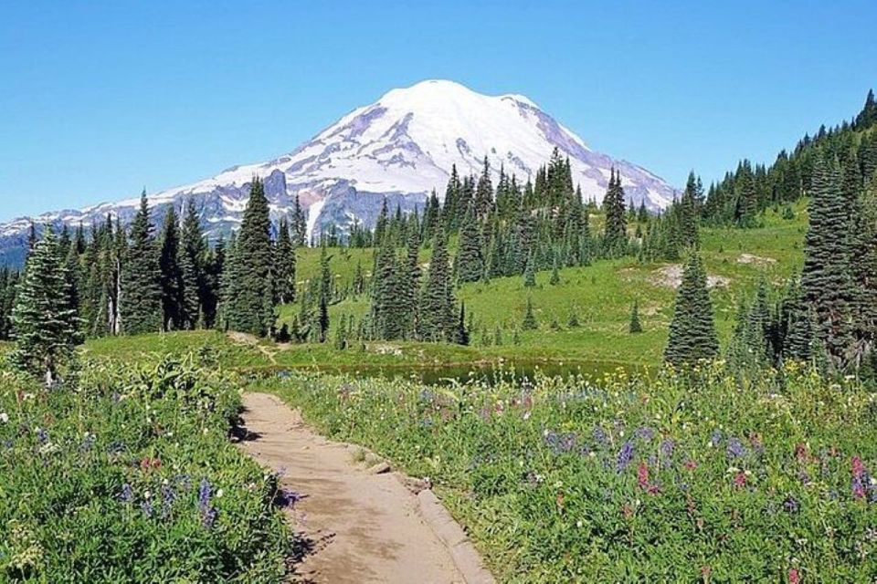 From Seattle: Full-Day Mt Rainier National Park Tour - Guided Mount Rainier Time: Old-Growth Forests and Nature That Clicks