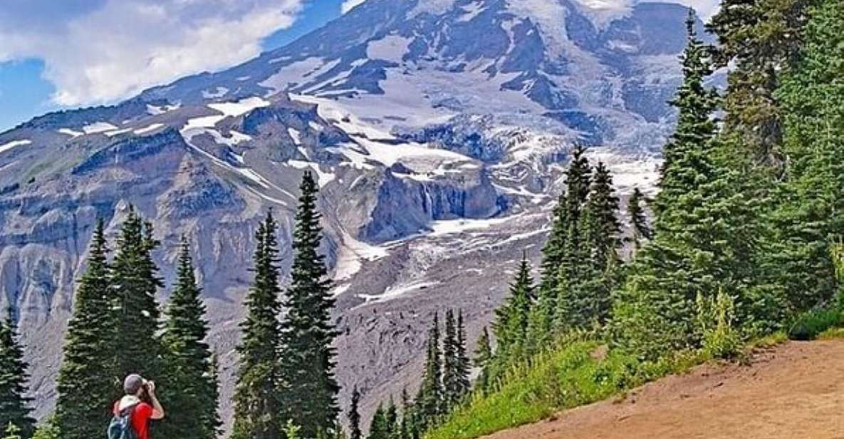 From Seattle: Full-Day Mt Rainier National Park Tour - Paradise and Its Wildflower Meadows: The Famous Spot With a Reason