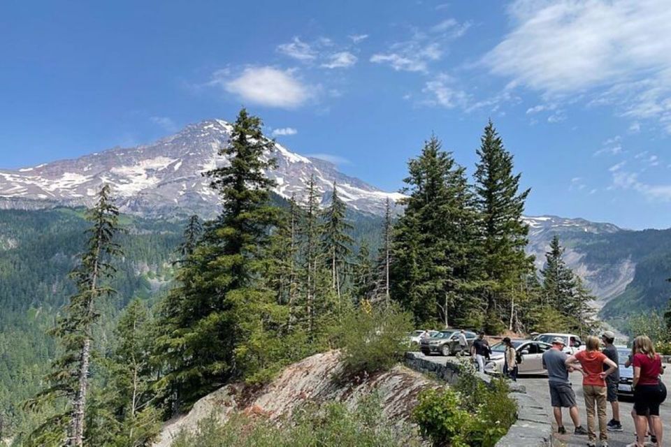 From Seattle: Full-Day Mt Rainier National Park Tour - Narada Falls: Water Power Without the Full Detour