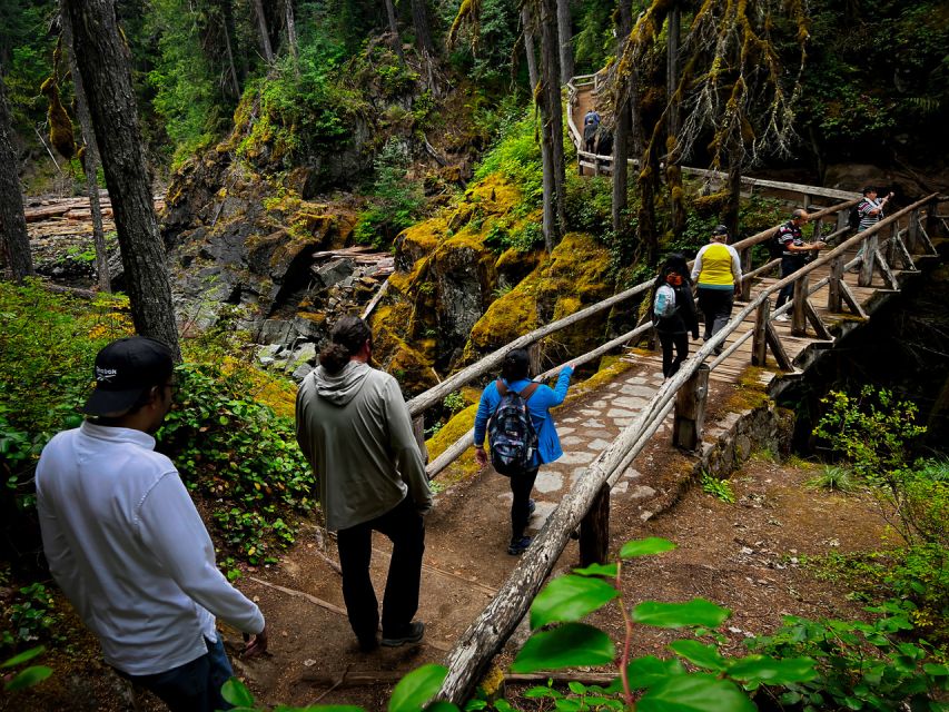 From Seattle: Mount Rainier National Park Guided Tour - Key things to know before you go