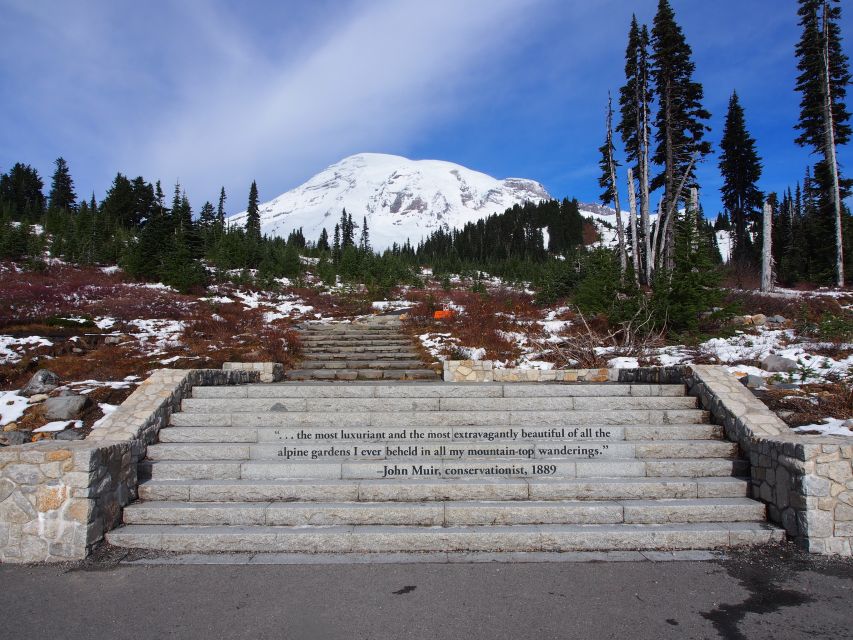 From Seattle: Mount Rainier National Park Guided Tour - Paradise visitor center: glaciers, plants, and why this is the pivot point