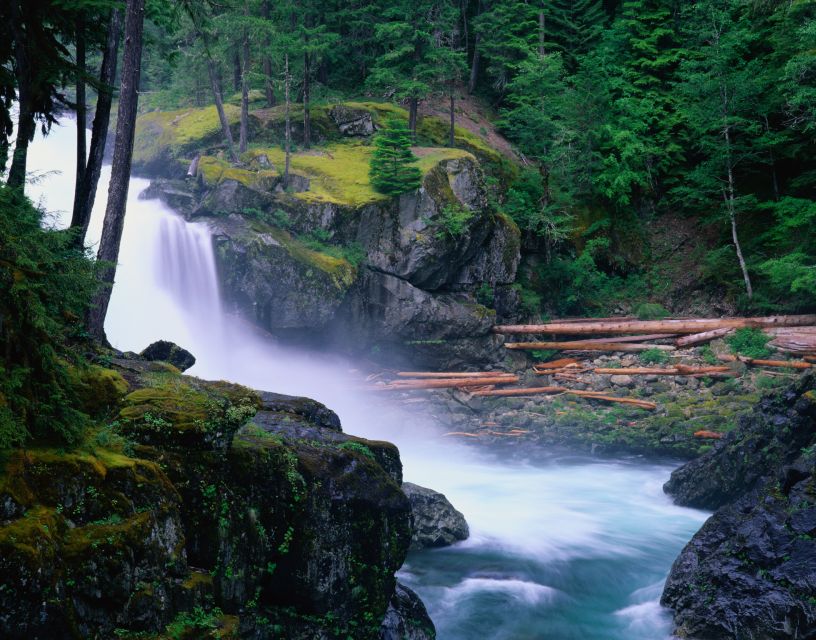 From Seattle: Mount Rainier National Park Guided Tour - Who should book this tour, and who should skip it