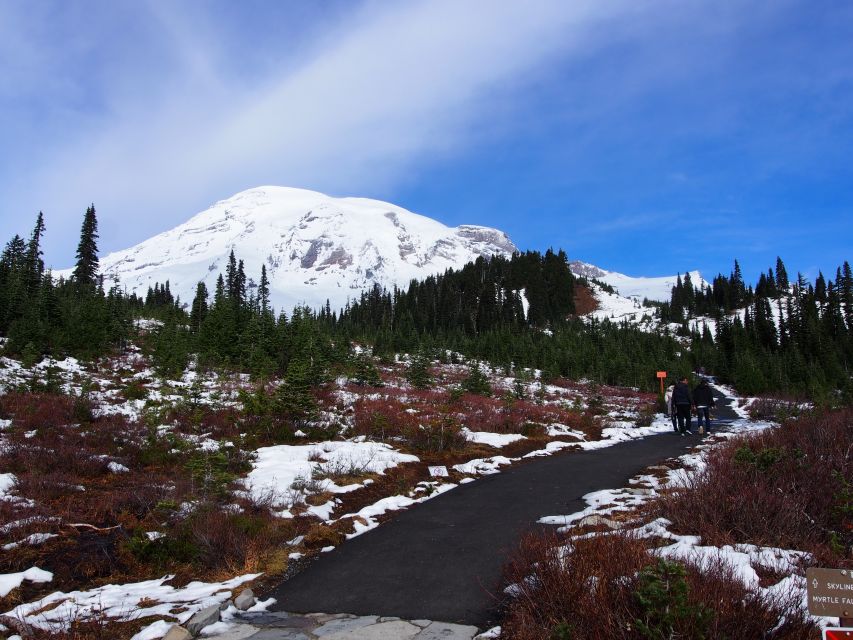 From Seattle: Mount Rainier National Park Guided Tour - The minibus ride: comfort, windows, and the small things that matter