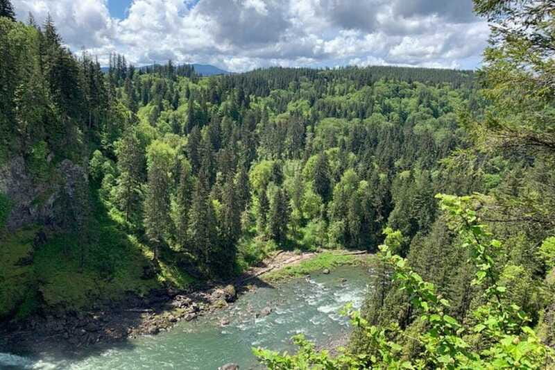 From Seattle: Pacific Northwest Waterfalls & Hiking Tour - Price ($79) and Value for a Half-Day Waterfall Fix