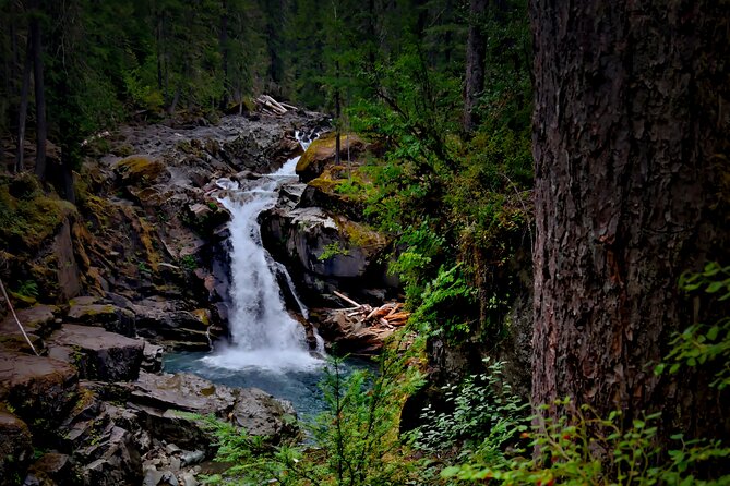 From Seattle: Private Tour to Mt. Rainier - Meeting at Grass Blades and the 7:00am Start