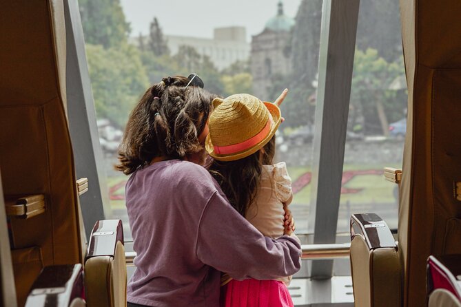 From Seattle: Round Trip by High Speed Ferry to Victoria, BC - On-board atmosphere: comfort is great, but families can change the vibe