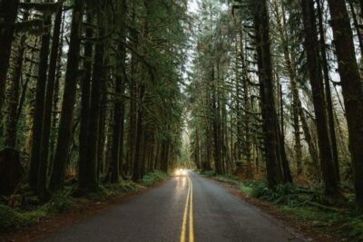 From Seattle: Twilight Forks Washington Tour - Forever Twilight in Forks Collection: Movie Props, Costumes, and a Photo Moment