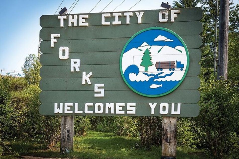 From Seattle: Twilight Forks Washington Tour - Marymere Falls: The Waterfall Moment That Can Make or Break the Day