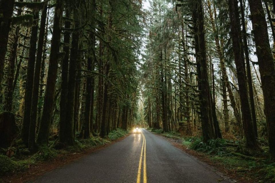 From Seattle: Twilight Forks Washington Tour - Forever Twilight in Forks Collection: Movie Props, Costumes, and a Photo Moment