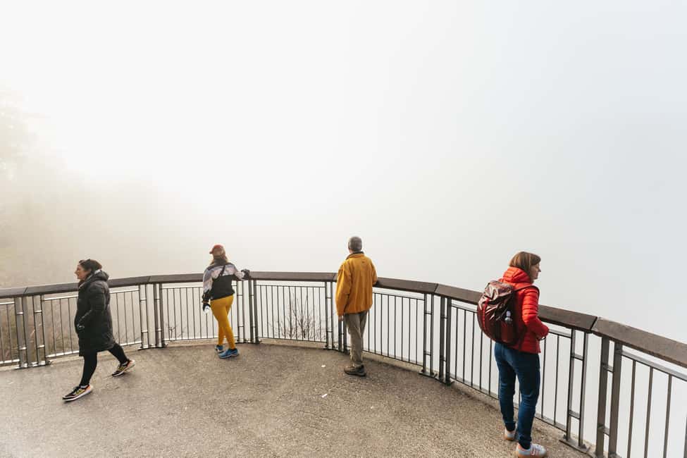From Seattle: Visit Snoqualmie Falls and Hike to Twin Falls - The rainforest hike to Twin Falls: what the moderate really means