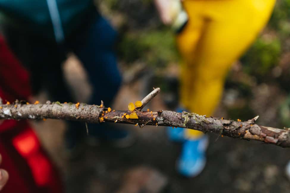 From Seattle: Visit Snoqualmie Falls and Hike to Twin Falls - What to bring for a smooth morning in the Cascades