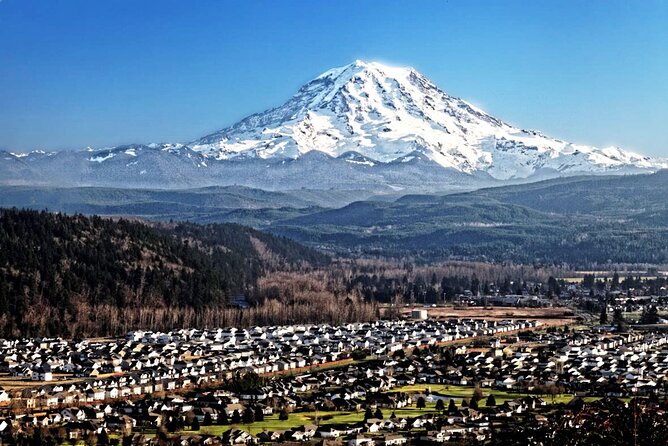 Full-Day Mt Rainier National Park Private Tour in SUV - Price and value: what $685 per person buys you (and what it doesn’t)