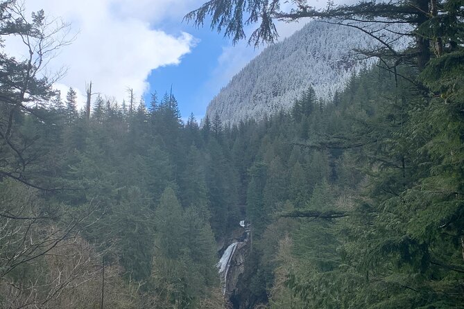 Guided forest hike to Seattle waterfalls incl. Snoqualmie Falls - The drive, comfort, and why group size matters on this route